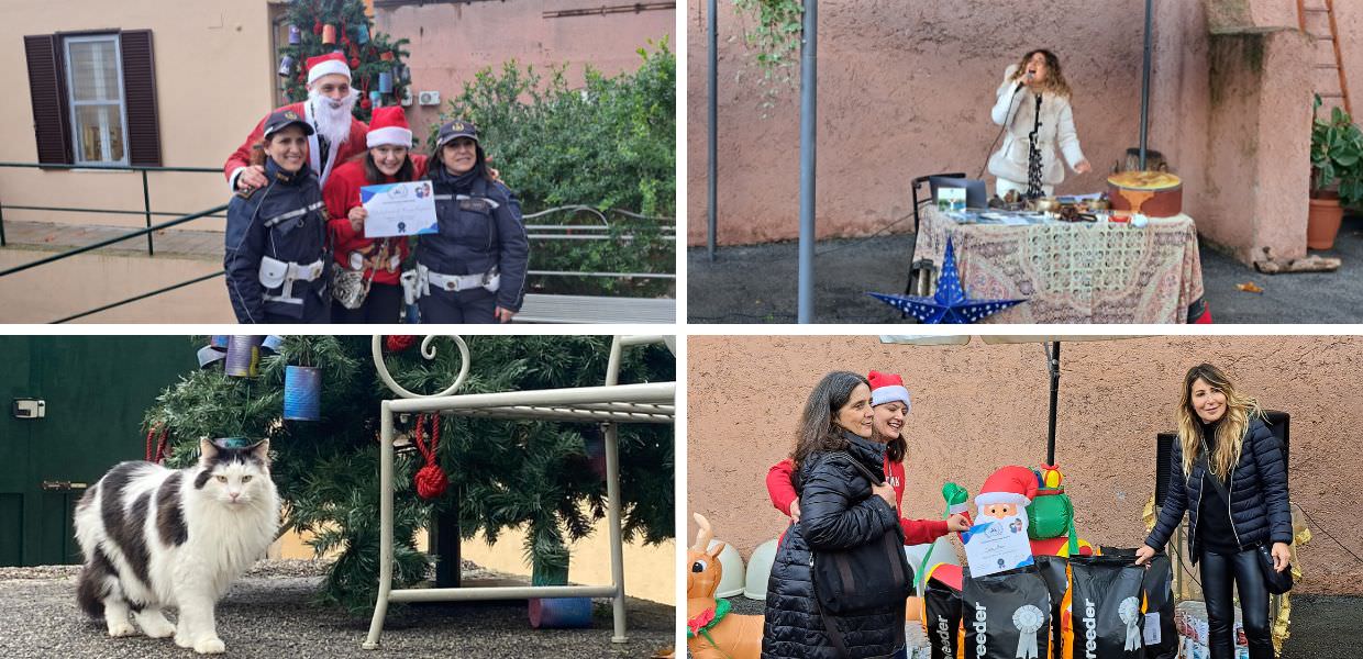 roma asta natale 2024