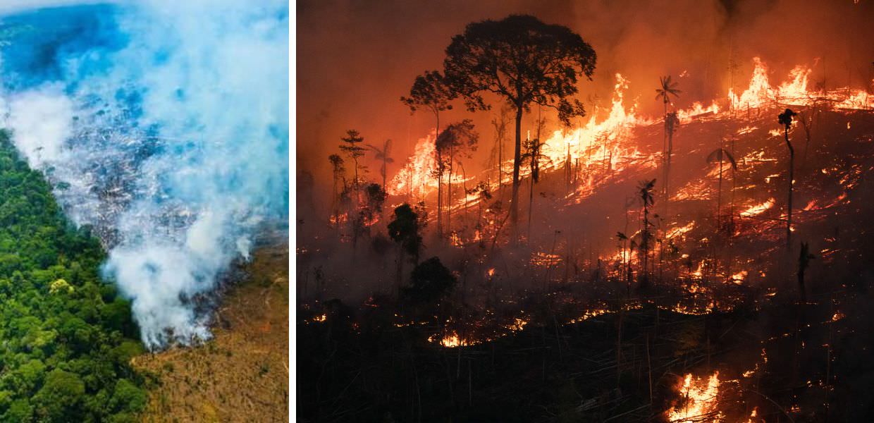 amazzonia incendi 2024