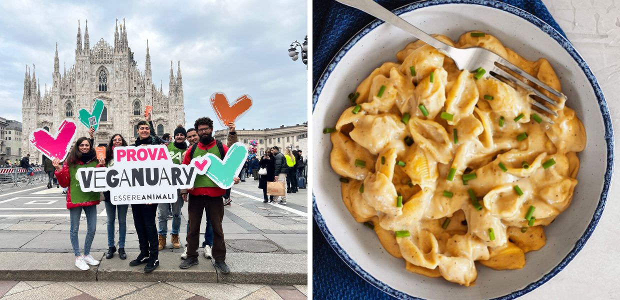 Torna Veganuary, un mese di ricette veg. Ecco come partecipare