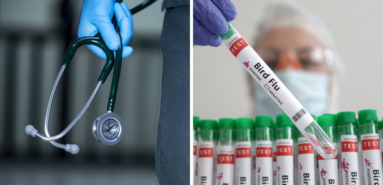 Europa, primo caso umano di influenza aviaria. Ecco come evitare il contagio