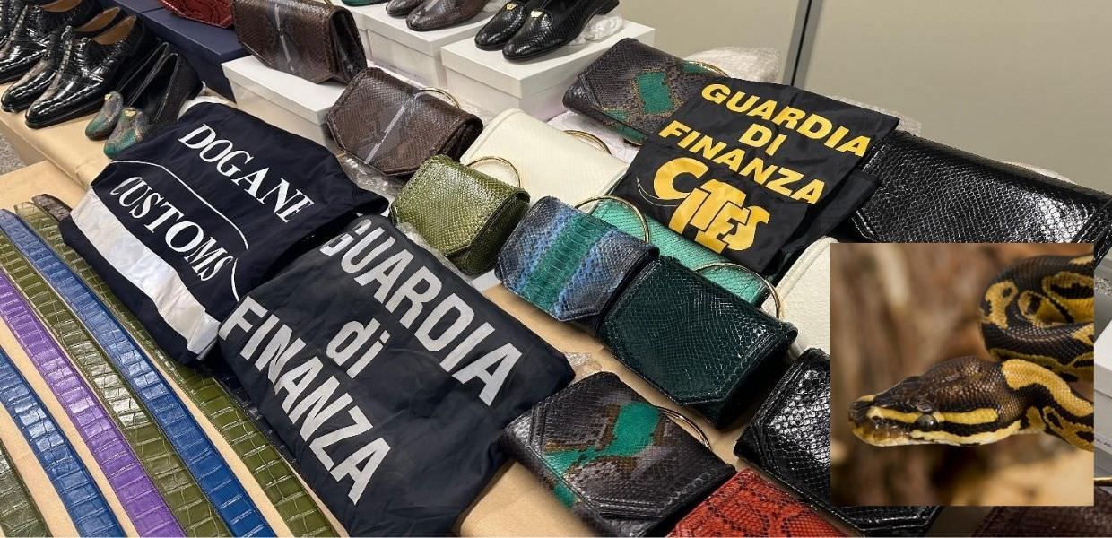 Borsette, cinture e scarpe realizzate con pelli di animali esotici: denunciato un uomo