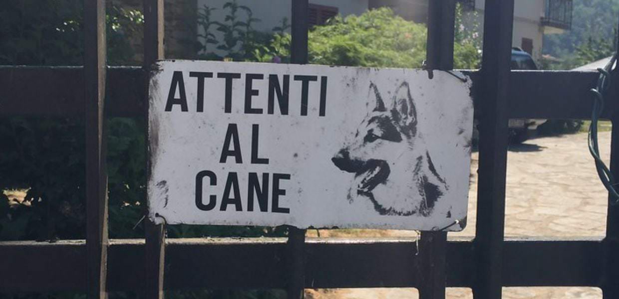 Tragedia a Latina, branco di cani uccide una donna. Ecco chi è la vittima