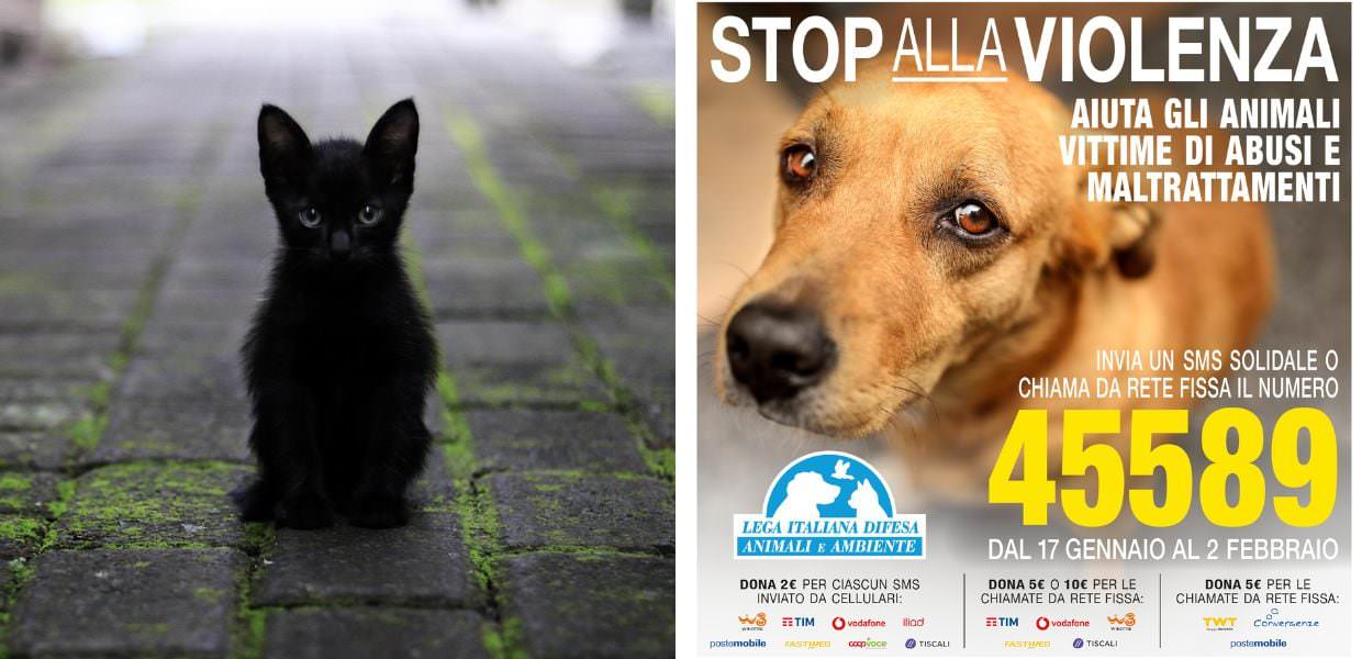 Violenza sugli animali, ecco la nuova Campagna di LEIDAA