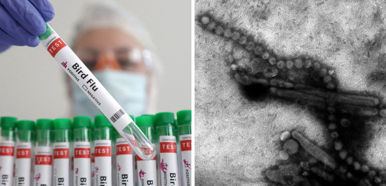 USA, morto primo uomo per influenza aviaria