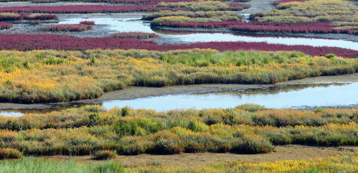 zone umide giornata mondiale italia