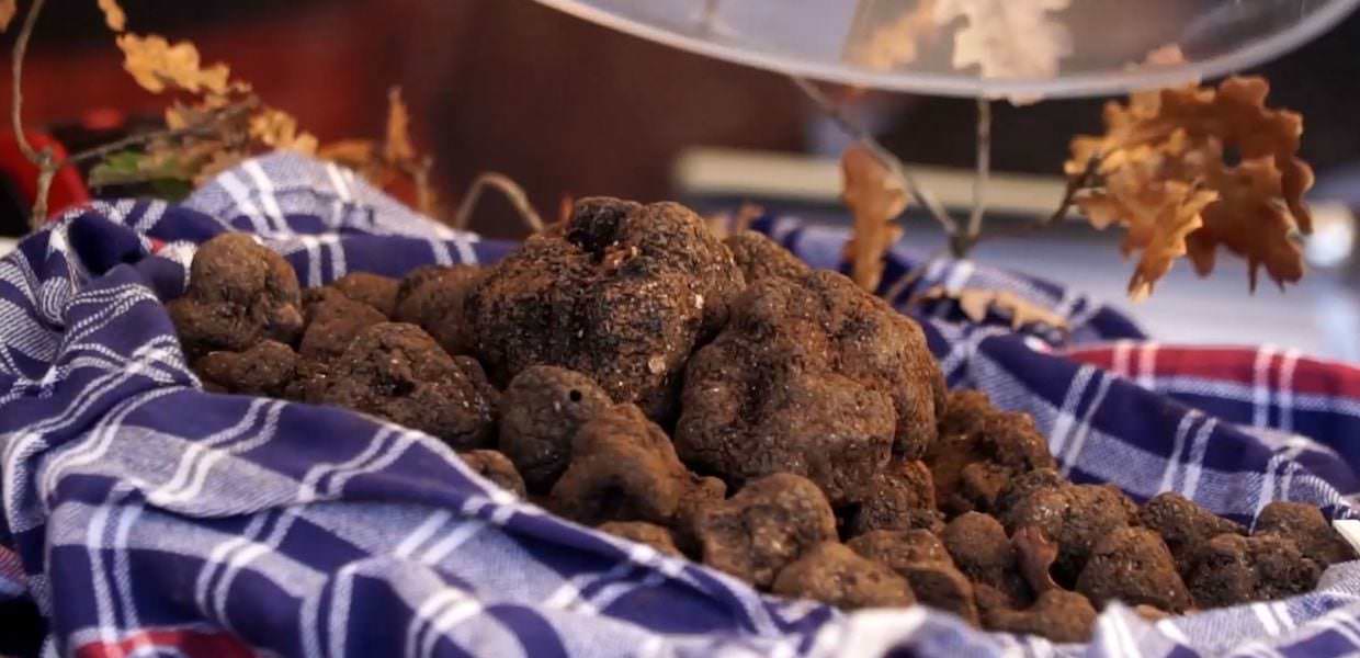 A Norcia (Pg), al via ‘Nero Norcia’