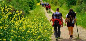 Assisi (Pg) ospita il Bitac 2025, foto turismo lento