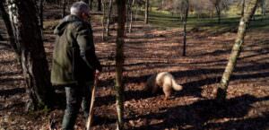 Cibo, il punto sulla stagione del tartufo, foto Giuliano Martinelli e cane