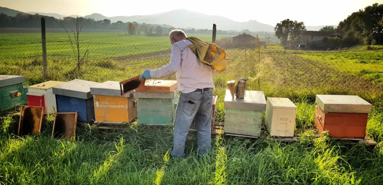 Corciano (Pg), ‘borgo per le api’ 2025