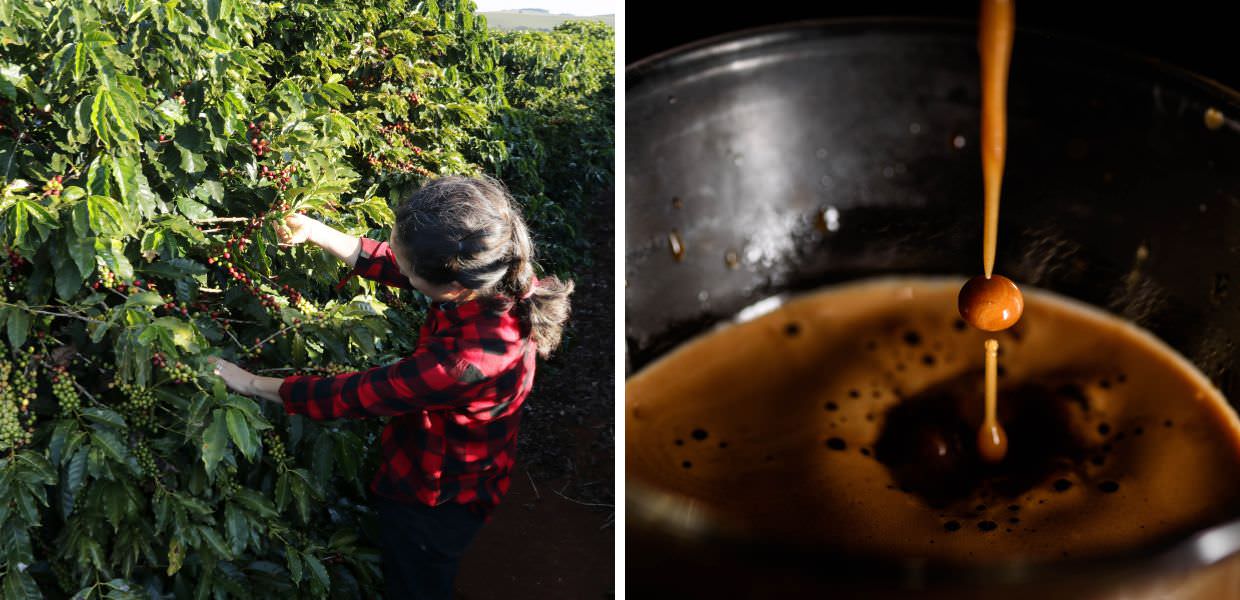 Cambiamenti climatici influenzano la produzione di caffè, aumentando i costi e il prezzo della tazzina di caffè in tutto il mondo.