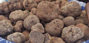 Nero Norcia, II° fine settimana della Mostra Mercato del Tartufo Nero Pregiato, tartufo