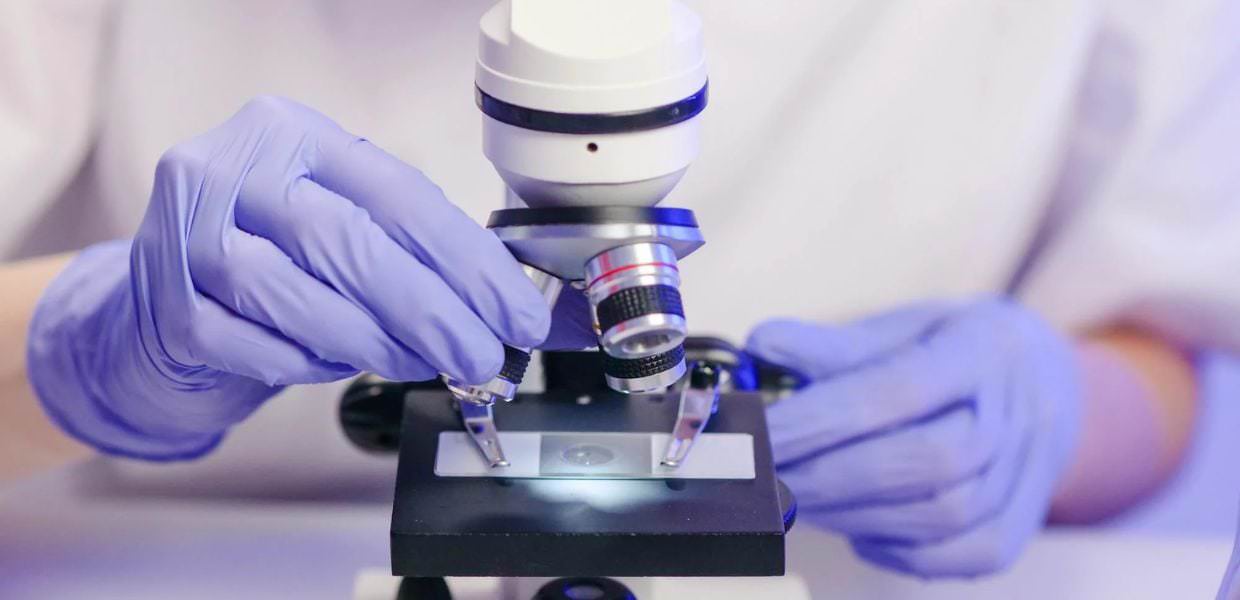 Salute, le microplastiche minacciano anche la fertilità femminile > Ricerca scientifica: mani guantate usano un microscopio per studiare l'impatto delle microplastiche sulla fertilità femminile. #microplastiche #fertilità #salute #ricerca