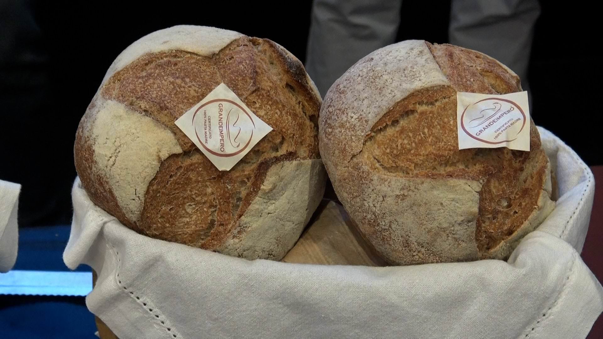 Roma presenta il suo Pane del Giubileo, fatto con farine autoctone e pasta madre