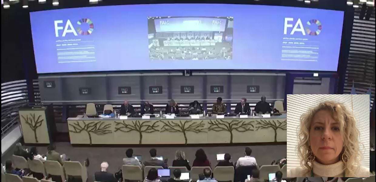 COP16, seconda giornata di negoziati per salvare la biodiversità