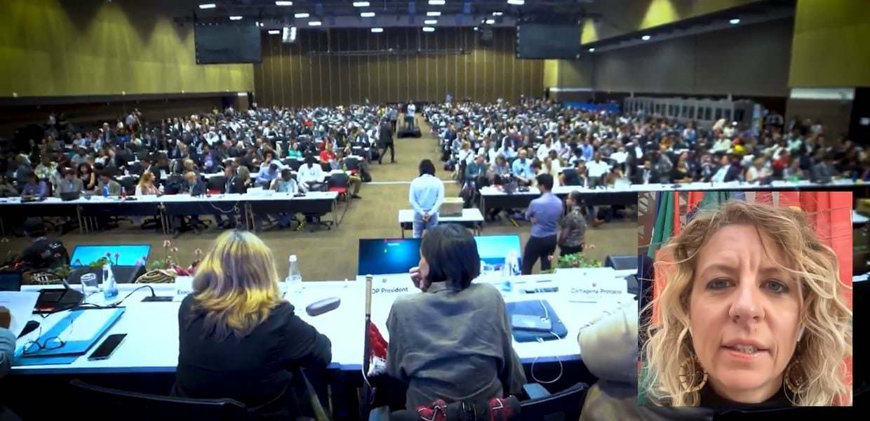 COP16, ultima giornata di negoziati per salvare la biodiversità **Immagine della COP16: ultima giornata di negoziati per la biodiversità. Plenaria affollata e intervista. #COP16 #biodiversità #negoziati**