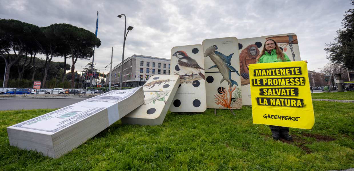 Verso la COP16: Greenpeace Italia manifesta davanti alla FAO
