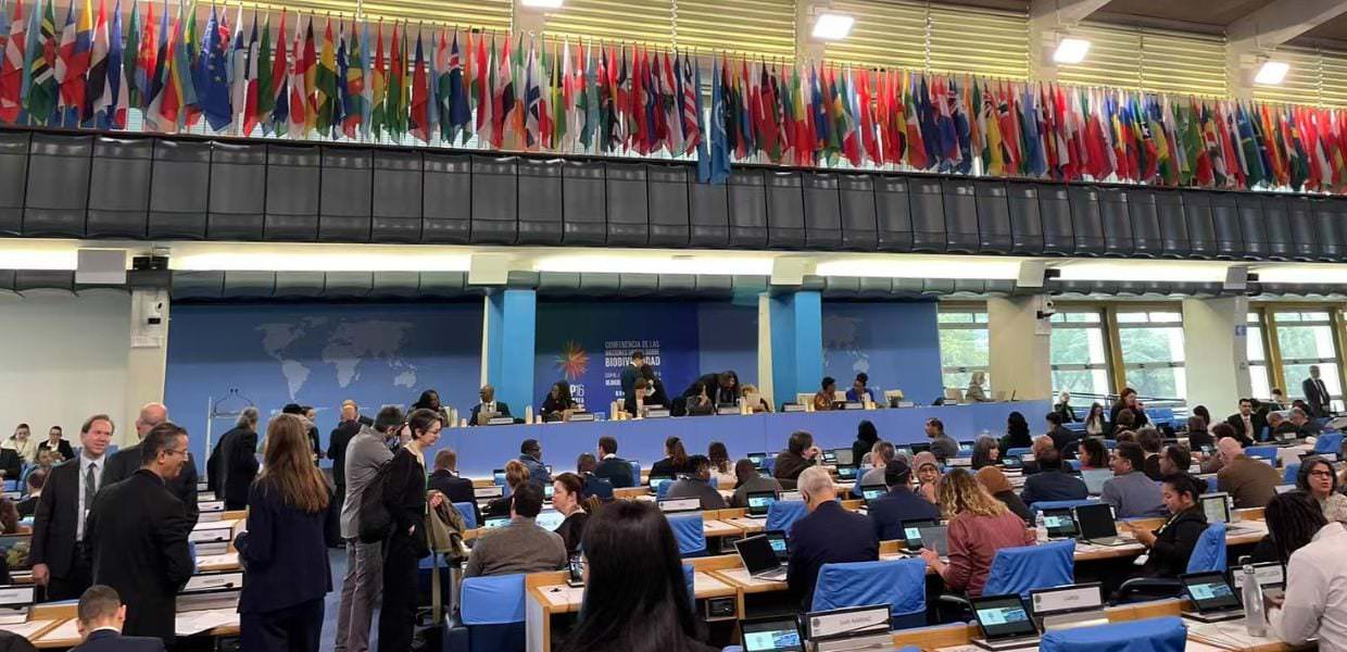 Cop16, si chiude a Roma con un piano da 200 mld dollari a difesa della natura