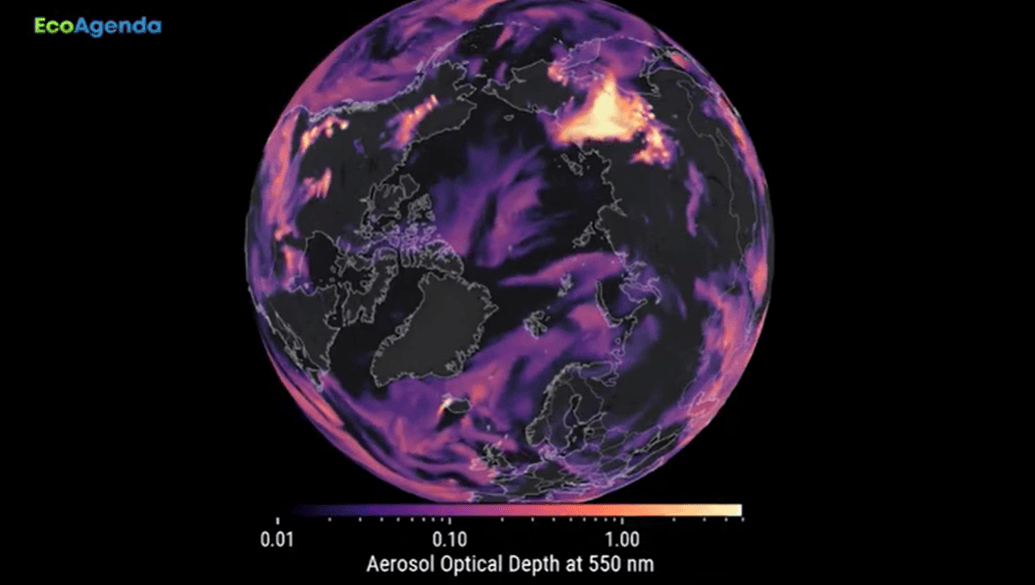 Seconda puntata di EcoAgenda, il programma di TeleAmbiente in onda su Radio Radicale, condotto da Stefano Zago, direttore responsabile TeleAmbiente.