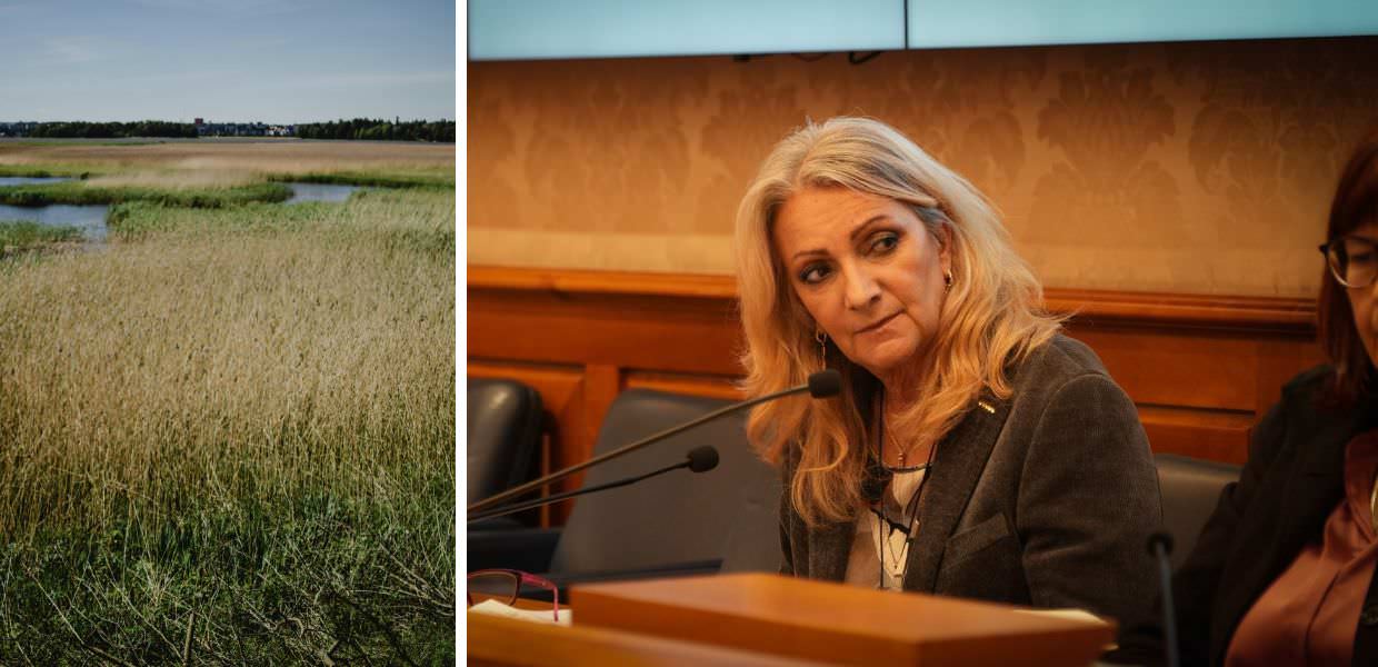 elena sironi zone umide