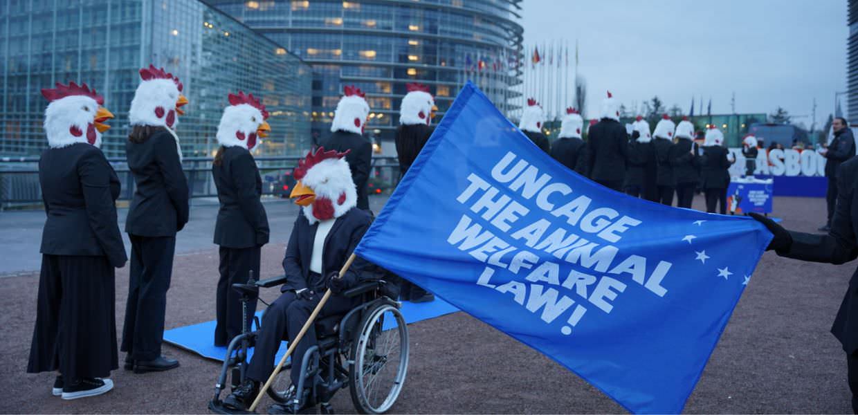 Diritti degli animali, gli attivisti protestano davanti al Parlamento Europeo | VIDEO