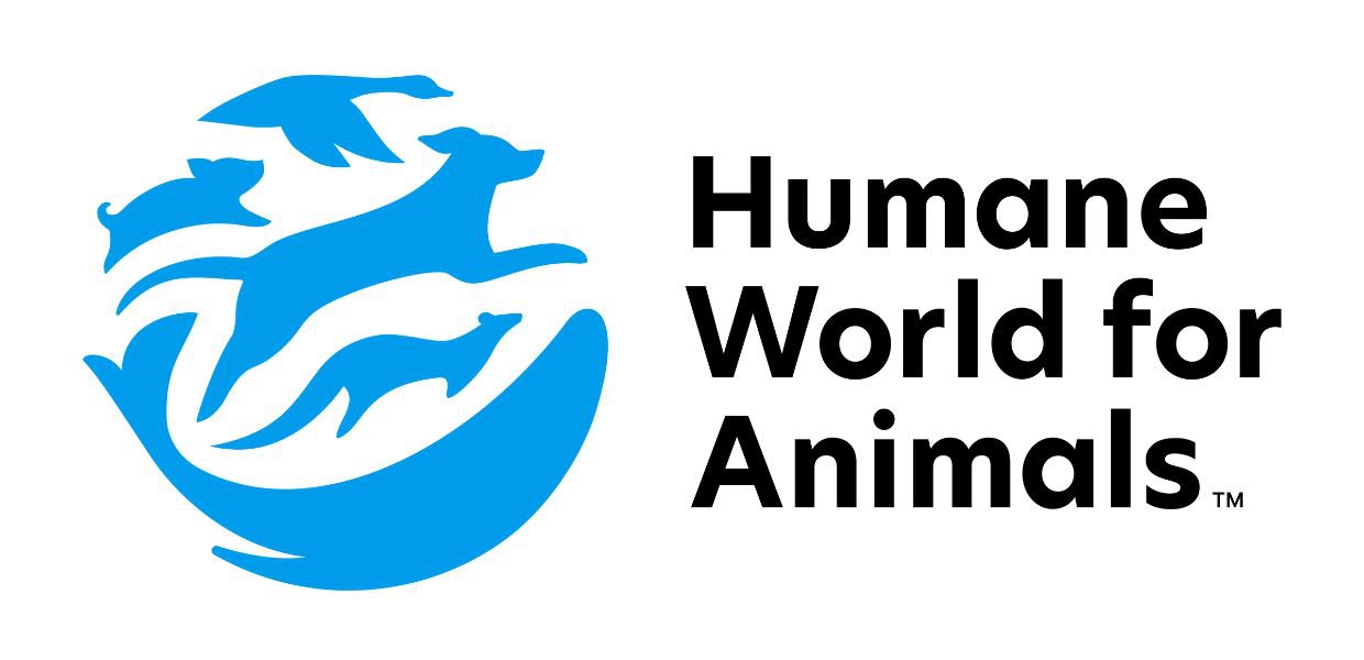 HSI diventa Humane World for Animals: nuovo nome e nuovo logo, ma stessa missione