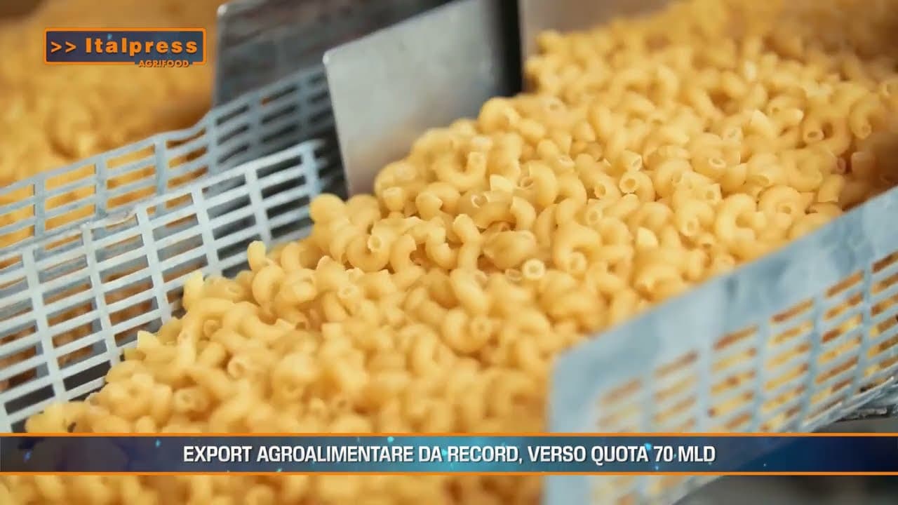 Ecco una descrizione alternativa SEO-friendly per l'immagine maxresdefault-7.jpg sulla pagina Agricoltura, Export agroalimentare, Made in Italy – Agrifood Magazine:

Pasta italiana su nastro trasportatore: simbolo dell'export agroalimentare Made in Italy di successo.  Verso quota 70 miliardi! #pasta #madeinitaly #agroalimentare #export