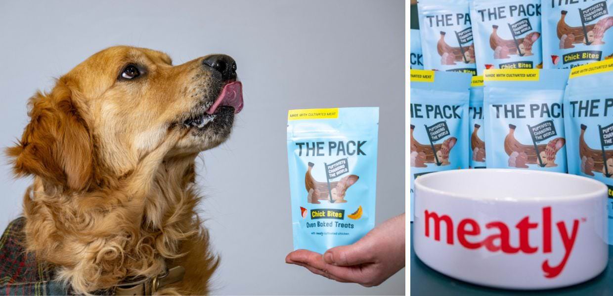 Meatly, ecco l'azienda che produce carne coltivata per animali domestici