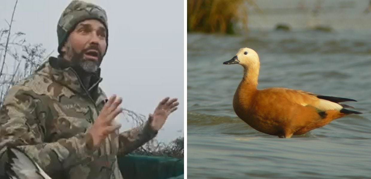 Caccia in Italia, il figlio di Donald Trump uccide anatre a Venezia | VIDEO