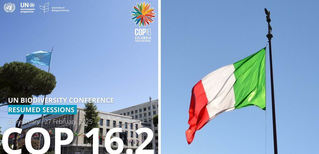 Verso la COP16: Roma pronta a ospitare i negoziati **Bandiera italiana sventola a Roma in preparazione della COP16.2, sessione ripresa della Conferenza ONU sulla Biodiversità (25-27 Febbraio 2025).**