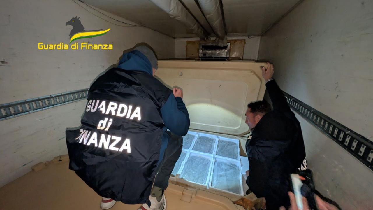Maxi sequestro di novellame, 1.500 kg di bianchetto pericoloso per la salute