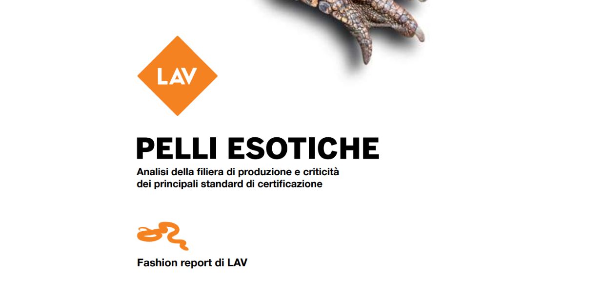 "Il problema non è tanto sulla specie, ma la modalità in cui il singolo individuo in qualità di essere senziente viene sfruttato", Simone Pavesi (LAV).