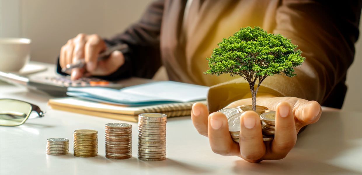 OCSE Per aumentare il PIL mondiale bisogna investire nella lotta alla crisi climatica