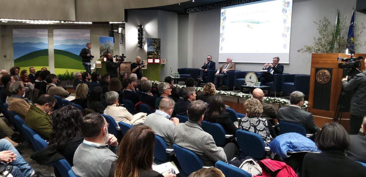 Olio, assegnati i riconoscimenti per l’ ‘Oro Verde dell’Umbria’