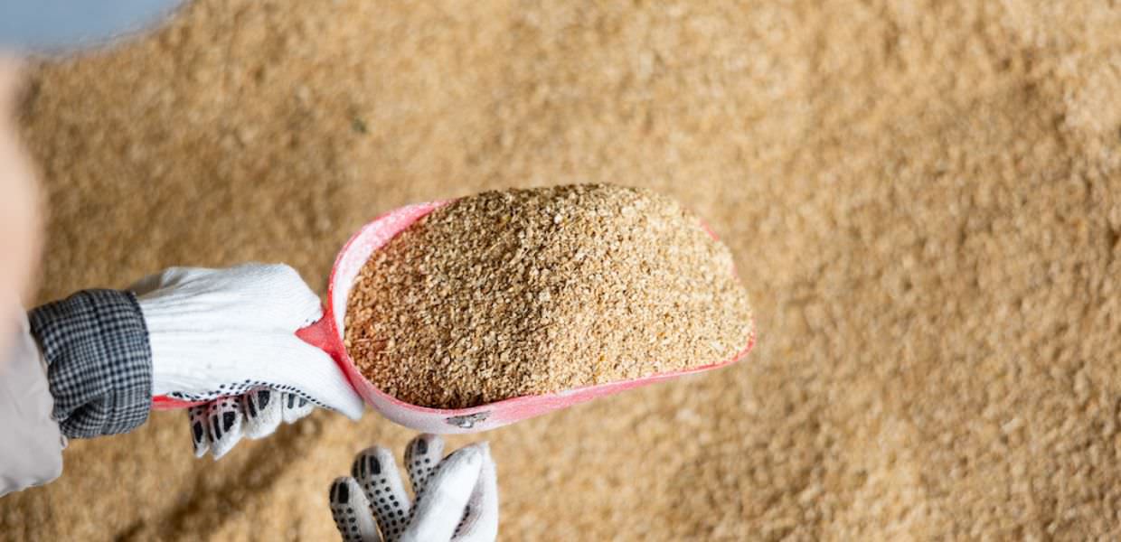 Umbria, brevetto per mangimi naturali che migliorano sostenibilità degli allevamenti