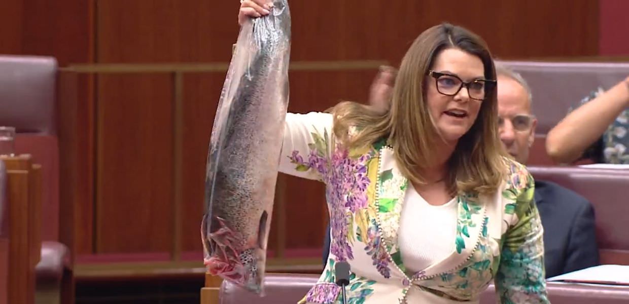 Australia, senatrice mostra salmone morto in Parlamento. Ecco il motivo