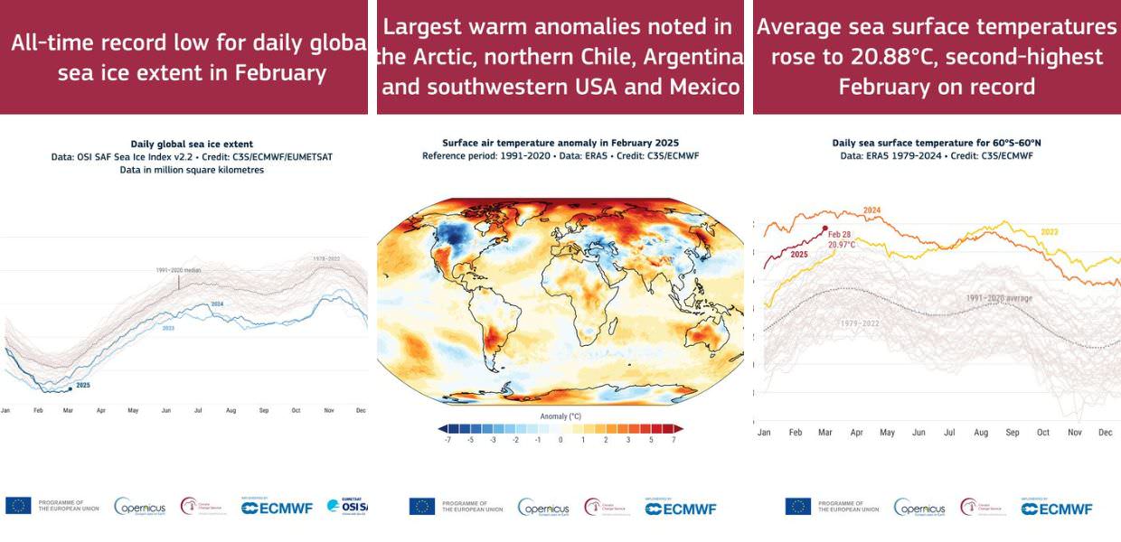 copernicus ghiaccio marino febbraio 2025