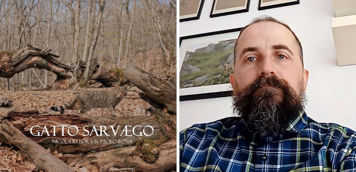 Arriva il film "Gatto sarvægo" sul fantasma dei boschi d'Italia