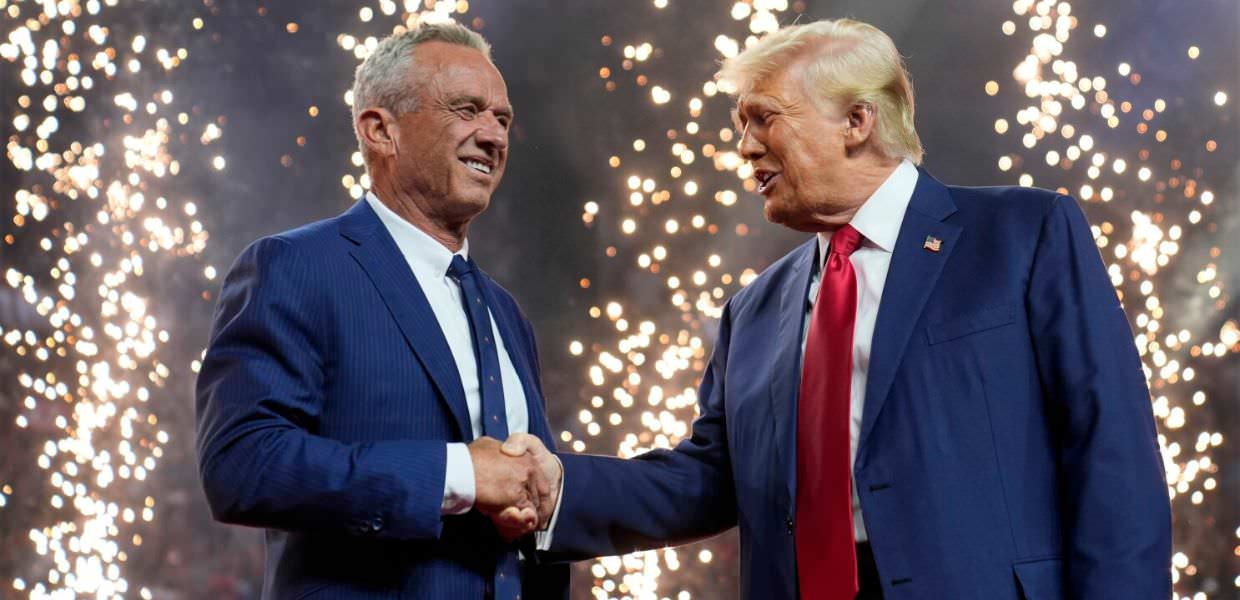 Influenza aviaria, la proposta di Trump & co.: "Lasciatela diffondere"