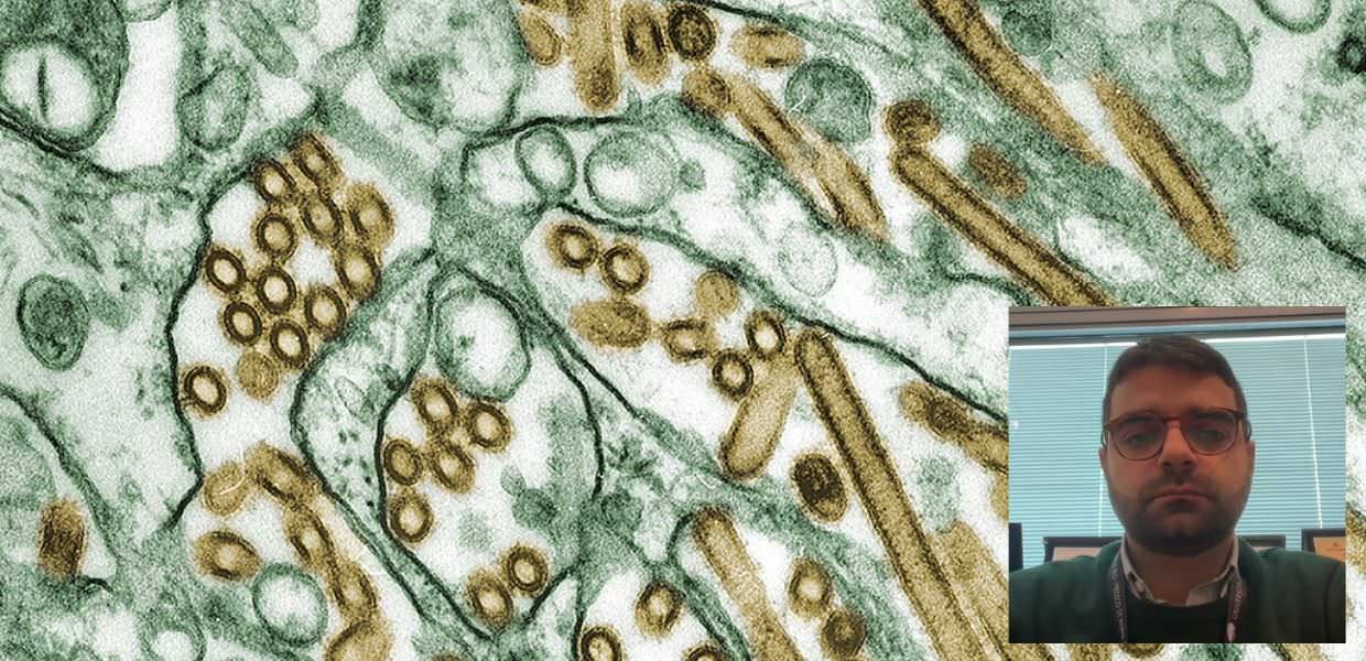 L'Italia è pronta a una pandemia di influenza aviaria? L'intervista allo scienziato