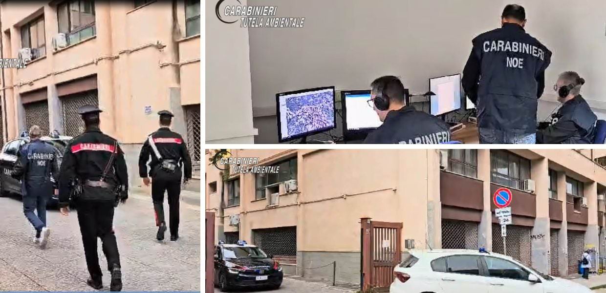 palermo rifiuti arresti