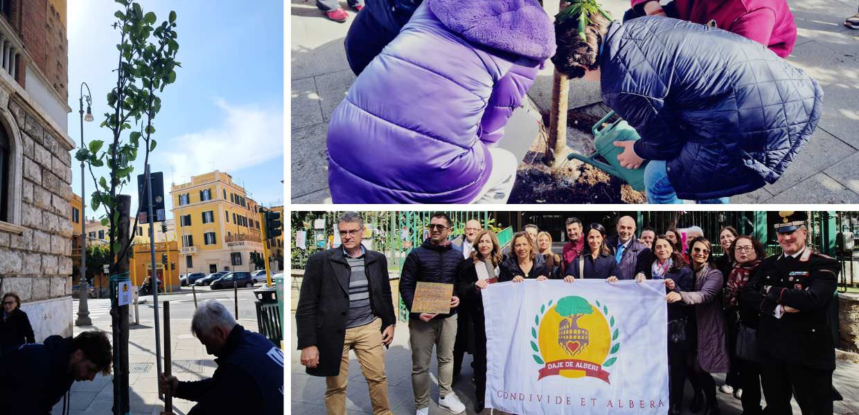 roma daje de alberi II municipio