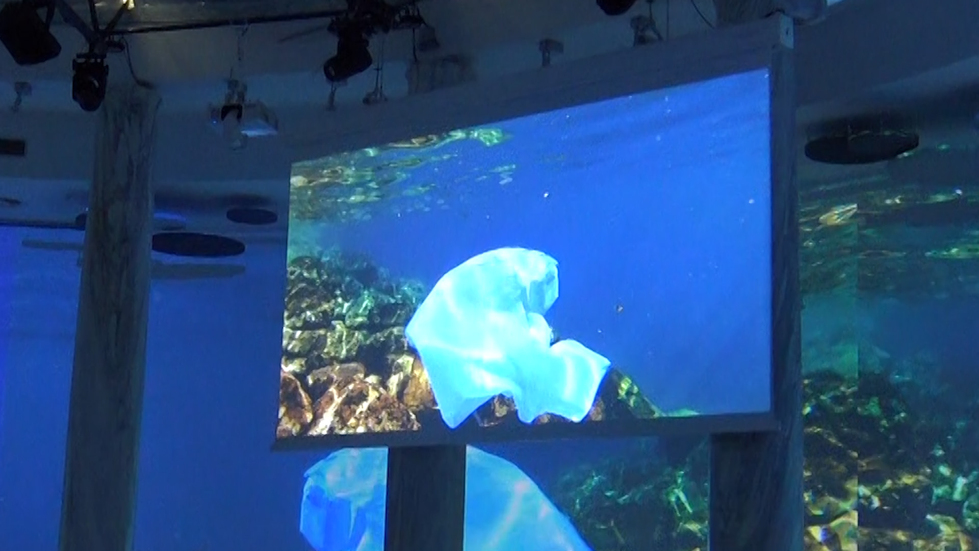 Plastica monouso. Greco: "L'Italia sbaglia a non applicare il divieto totale"