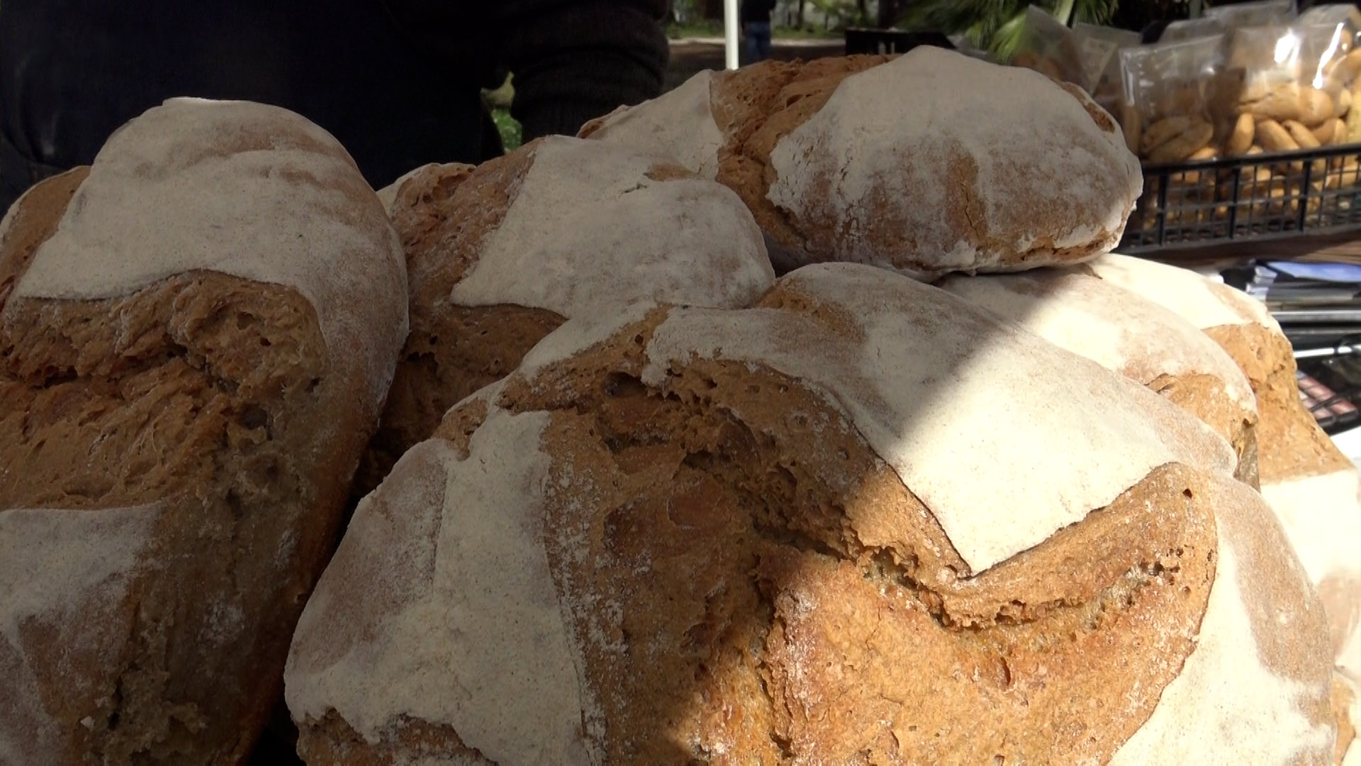 Presidi Slow Food e cibi tipici, come praticare la sostenibilità ne 2025