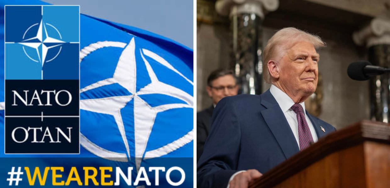 clima nato donald trump