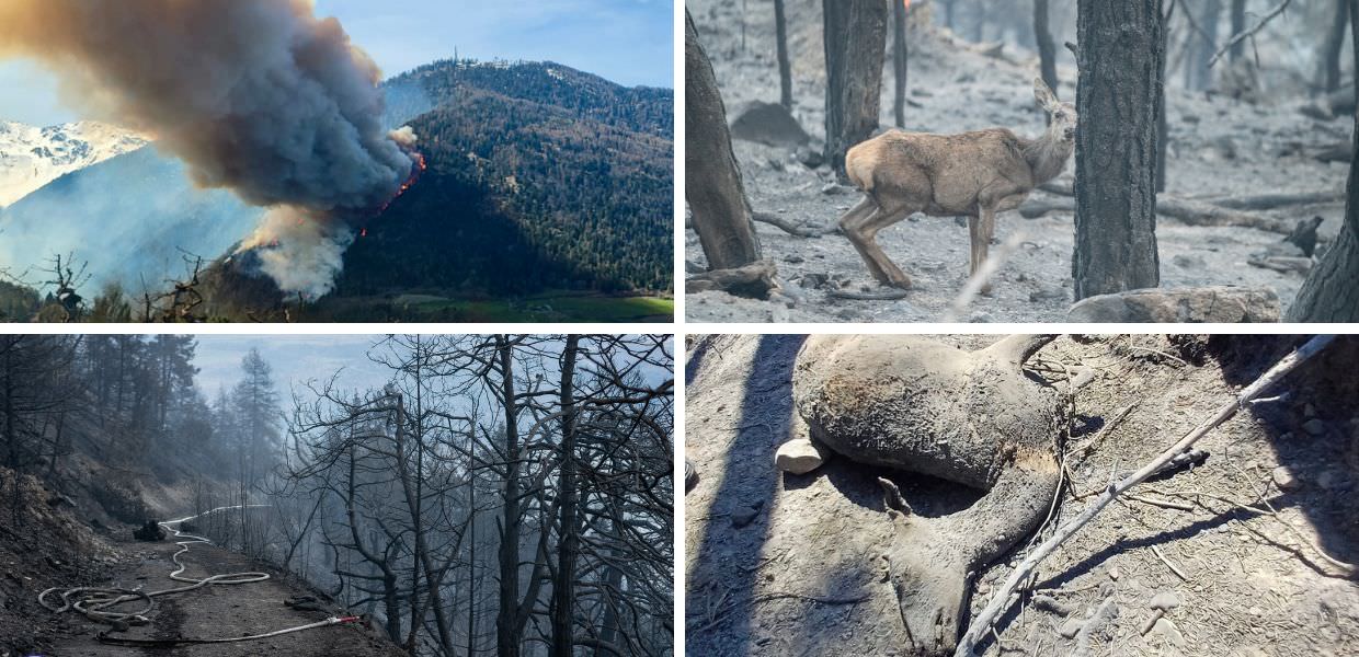 incendi italia val venosta