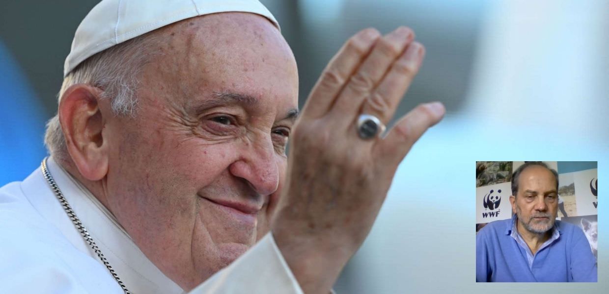 Papa Francesco, il cordoglio del WWF Italia