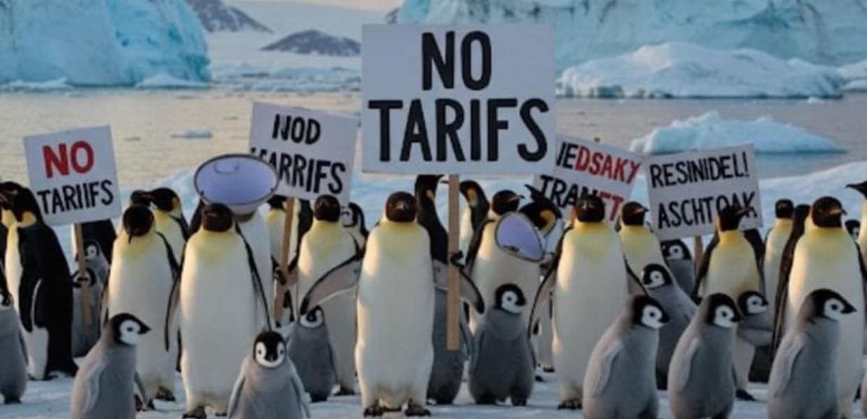 Dazi, anche le isole dei pinguini nel mirino di Trump. L'ironia dei social