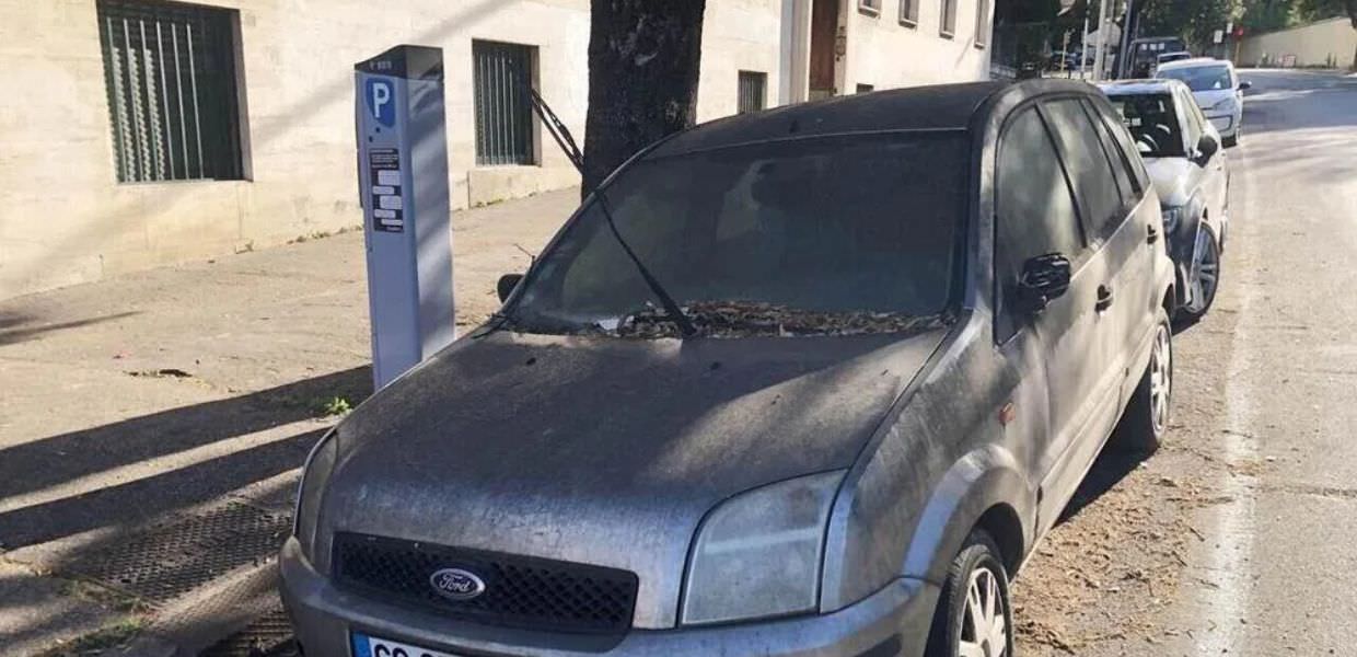veicoli fuori uso pra camera