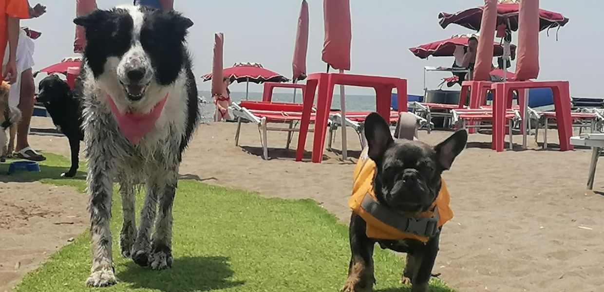 A Maccarese (Roma) riapre Baubeach la spiaggia per cani e persone, con tante attività