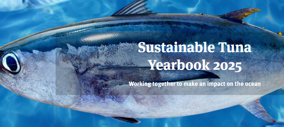 Tonno, la metà in commercio proviene da fonti sostenibili